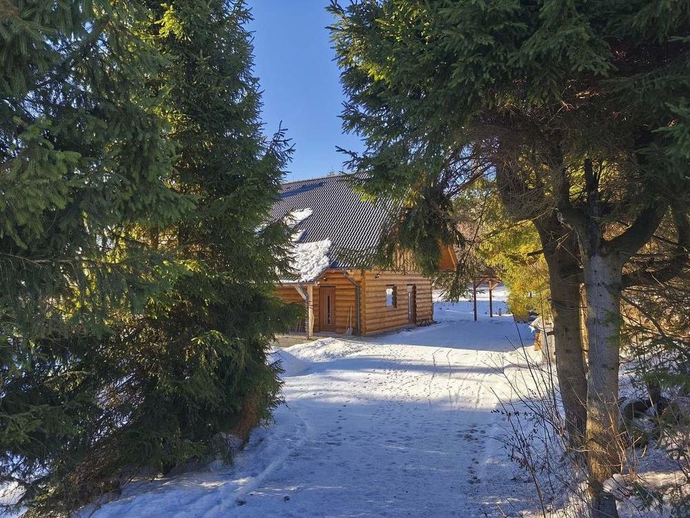 Zasněžená cesta k roubence mezi smrky